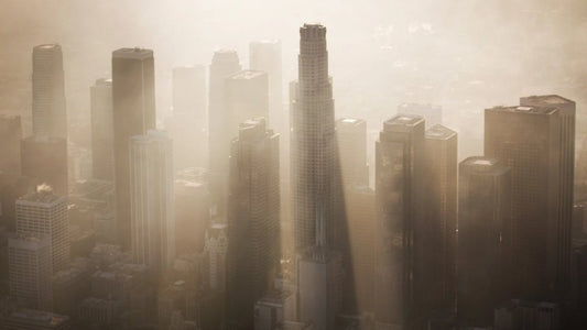 Lässt schlechte Luftqualität die Kriminalitäts- und Selbstmordrate steigen?