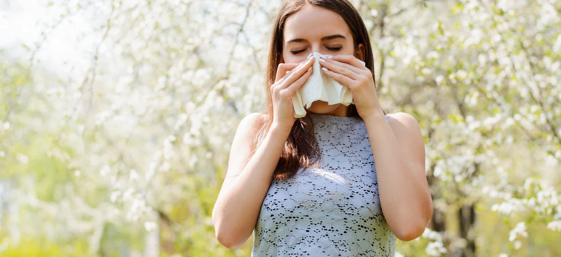 Wie man Allergien im Frühling mit einem Luftreiniger bekämpft