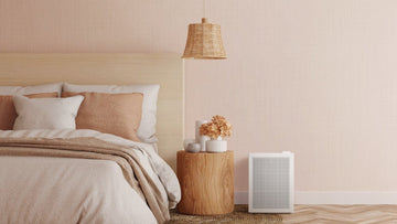 Der beste Luftreiniger fürs Schlafzimmer: Coway Mighty (AP-1512HH) und Airmega 150