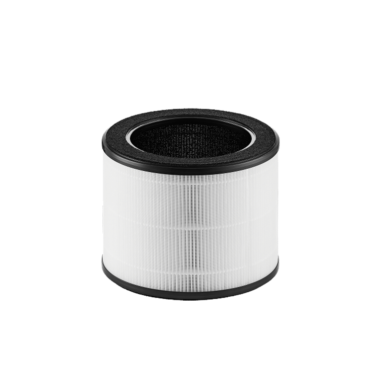 Filter für Airmega 100