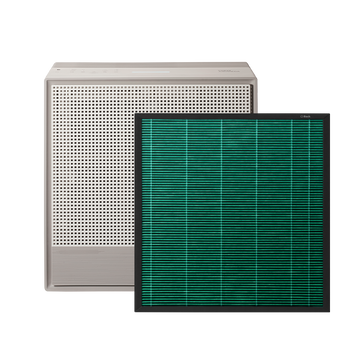 Filter für Airmega 250 und 250s