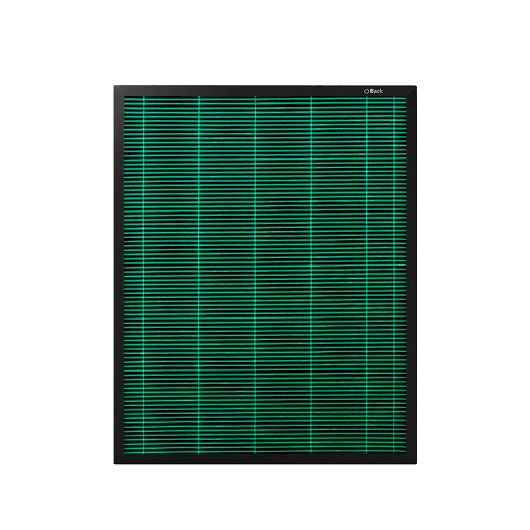 Filter für Airmega 250 und 250s